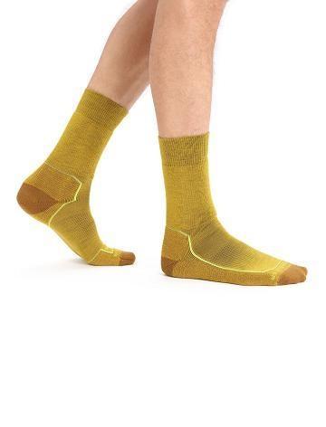 Silent Gold / Clove Icebreaker Merino Hike+ Medium Crew Men's Socks | AU 1022ILHS